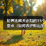 初养比熊犬必知的15个要点（如何养护刚出生的比熊犬，让它成为你的最佳伴侣？）(图2)