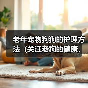 老年宠物狗狗的护理方法（关注老狗的健康，细心呵护老伴侣）(图3)