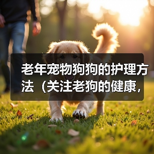 老年宠物狗狗的护理方法（关注老狗的健康，细心呵护老伴侣）(图4)