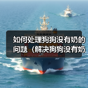 如何处理狗狗没有奶的问题（解决狗狗没有奶的情况，让它健康成长）(图4)