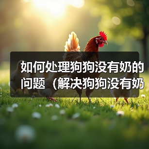 如何处理狗狗没有奶的问题（解决狗狗没有奶的情况，让它健康成长）(图3)