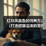 红肚凤凰鱼的饲养方法（打造健康活泼的宠物鱼）(图2)