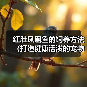 红肚凤凰鱼的饲养方法（打造健康活泼的宠物鱼）(图4)