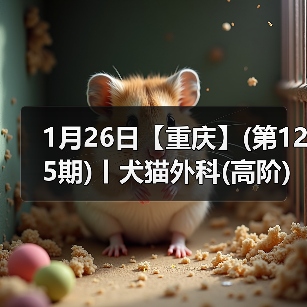 1月26日【重庆】(第125期)丨犬猫外科(高阶)班！含SUB(人人可实操)、乳糜胸等技术！(图4)