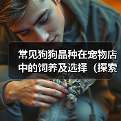 常见狗狗品种在宠物店中的饲养及选择（探索宠物店中多样的狗狗品种和选择技巧）(图3)