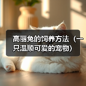 高丽兔的饲养方法（一只温顺可爱的宠物）(图1)