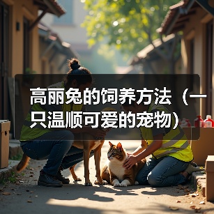 高丽兔的饲养方法（一只温顺可爱的宠物）(图2)