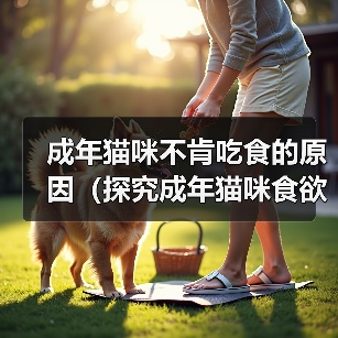 成年猫咪不肯吃食的原因（探究成年猫咪食欲不振的原因及解决方法）(图1)