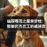 瑞辰每周之星荣誉榜：致敬优秀员工的卓越贡献(图4)