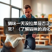 猫咪一天没拉屎是否正常？（了解猫咪的消化系统和行为习惯，判断