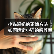 小猫喝奶的正确方法（如何确定小猫的喂养量？）(图2)
