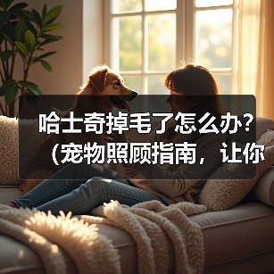 哈士奇掉毛了怎么办？（宠物照顾指南，让你的哈士奇掉毛少如一把