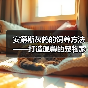 安第斯灰鸫的饲养方法——打造温馨的宠物家园（从生活习性到饲养技巧，全方位解析安第斯灰鸫的养殖要点）(图2)