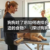 狗狗吐了后如何选择合适的食物？（探讨狗狗吐了后饮食调理的关键）(图2)
