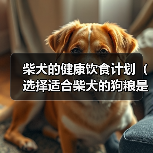 柴犬的健康饮食计划（选择适合柴犬的狗粮是关键）(图4)