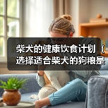 柴犬的健康饮食计划（选择适合柴犬的狗粮是关键）