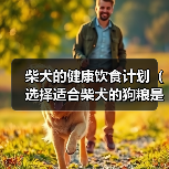 柴犬的健康饮食计划（选择适合柴犬的狗粮是关键）(图2)