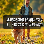 金毛吃狗粮长得快不快？（探究金毛犬只是否需特殊饮食及狗粮是否