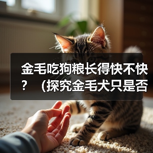 金毛吃狗粮长得快不快？（探究金毛犬只是否需特殊饮食及狗粮是否有助于其成长）(图2)