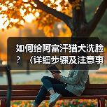 如何给阿富汗猎犬洗脸？（详细步骤及注意事项。）(图4)