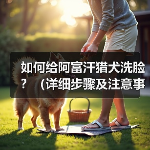 如何给阿富汗猎犬洗脸？（详细步骤及注意事项。）(图3)