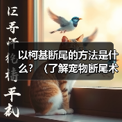 以柯基断尾的方法是什么？（了解宠物断尾术，保护你的柯基宝贝）(图3)