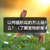 以柯基断尾的方法是什么？（了解宠物断尾术，保护你的柯基宝贝）(图4)