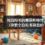 纯白狗毛的美丽和特性（探索全白狗毛背后的神秘世界）(图4)