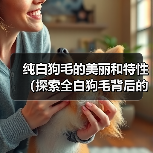 纯白狗毛的美丽和特性（探索全白狗毛背后的神秘世界）