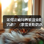 如何正确饲养紫蓝金刚鹦鹉？（紫蓝金刚鹦鹉的饲养方法与注意事项）(图2)