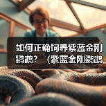 如何正确饲养紫蓝金刚鹦鹉？（紫蓝金刚鹦鹉的饲养方法与注意事项