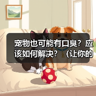 宠物也可能有口臭？应该如何解决？（让你的宠物告别口臭，彰显宠爱心情！）(图4)
