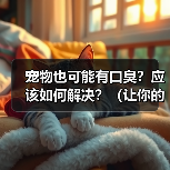 宠物也可能有口臭？应该如何解决？（让你的宠物告别口臭，彰显宠爱心情！）(图2)