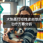 犬跳蚤叮咬性皮炎综合治疗方案分析(图3)