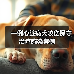 一例心脏病犬咬伤保守治疗感染案例(图3)