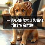 一例心脏病犬咬伤保守治疗感染案例(图4)