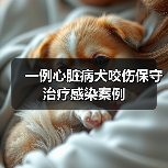 一例心脏病犬咬伤保守治疗感染案例(图2)