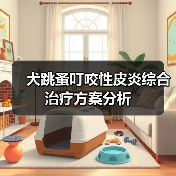 犬跳蚤叮咬性皮炎综合治疗方案分析(图2)