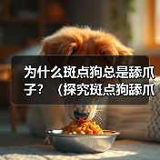 为什么斑点狗总是舔爪子？（探究斑点狗舔爪子的原因和行为习惯）(图2)