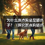 为什么斑点狗总是舔爪子？（探究斑点狗舔爪子的原因和行为习惯）(图3)
