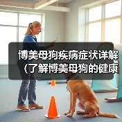 博美母狗疾病症状详解（了解博美母狗的健康问题，更好地照顾它们）(图3)