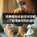 博美母狗疾病症状详解（了解博美母狗的健康问题，更好地照顾它们）(图2)