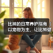 比熊的日常养护指南（以宠物为主，让比熊健康成长）(图4)