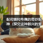 起司猫和布偶的奇妙配种（探究这种新兴的宠物品种和人们对它的热情）(图3)