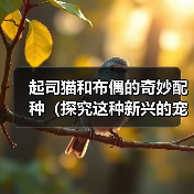 起司猫和布偶的奇妙配种（探究这种新兴的宠物品种和人们对它的热