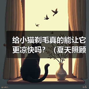 给小猫剃毛真的能让它更凉快吗？（夏天照顾小猫，别乱剃毛！）(图4)