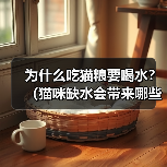 为什么吃猫粮要喝水？（猫咪缺水会带来哪些危害？）(图3)