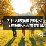 为什么吃猫粮要喝水？（猫咪缺水会带来哪些危害？）