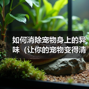 如何消除宠物身上的异味（让你的宠物变得清新自然）(图2)