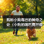 揭秘小狗嘴巴的神奇之处（小狗的嘴巴竟然像这个东西！）(图3)